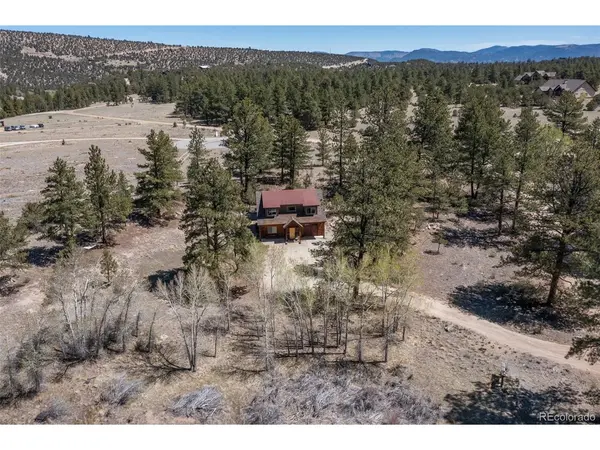 16602 County Road 289, Nathrop, CO 81236