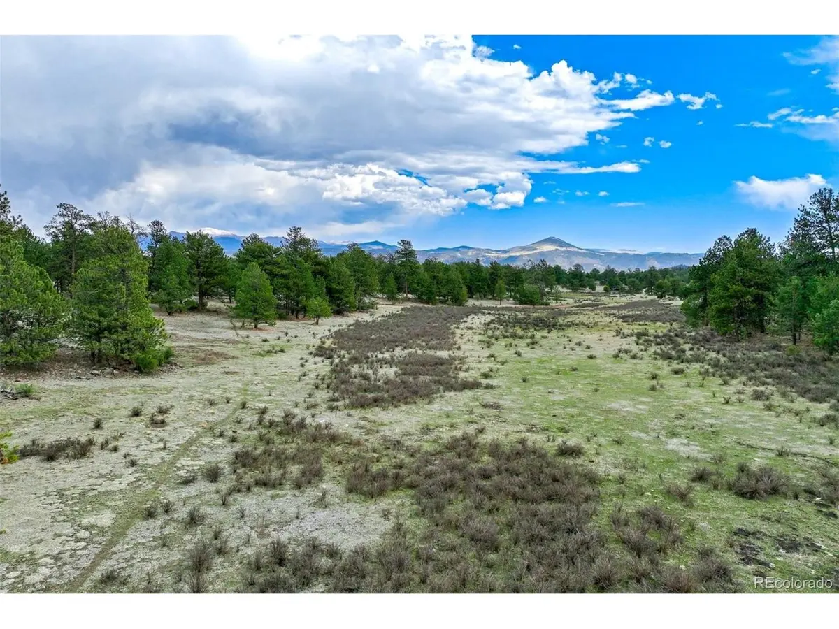 103 Doe Valley, Guffey, CO 80820