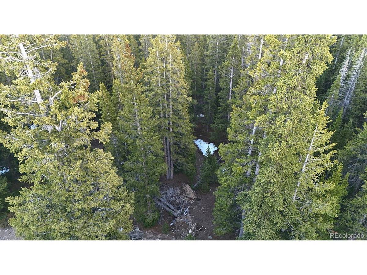 252 Silverheels, Fairplay, CO 80440