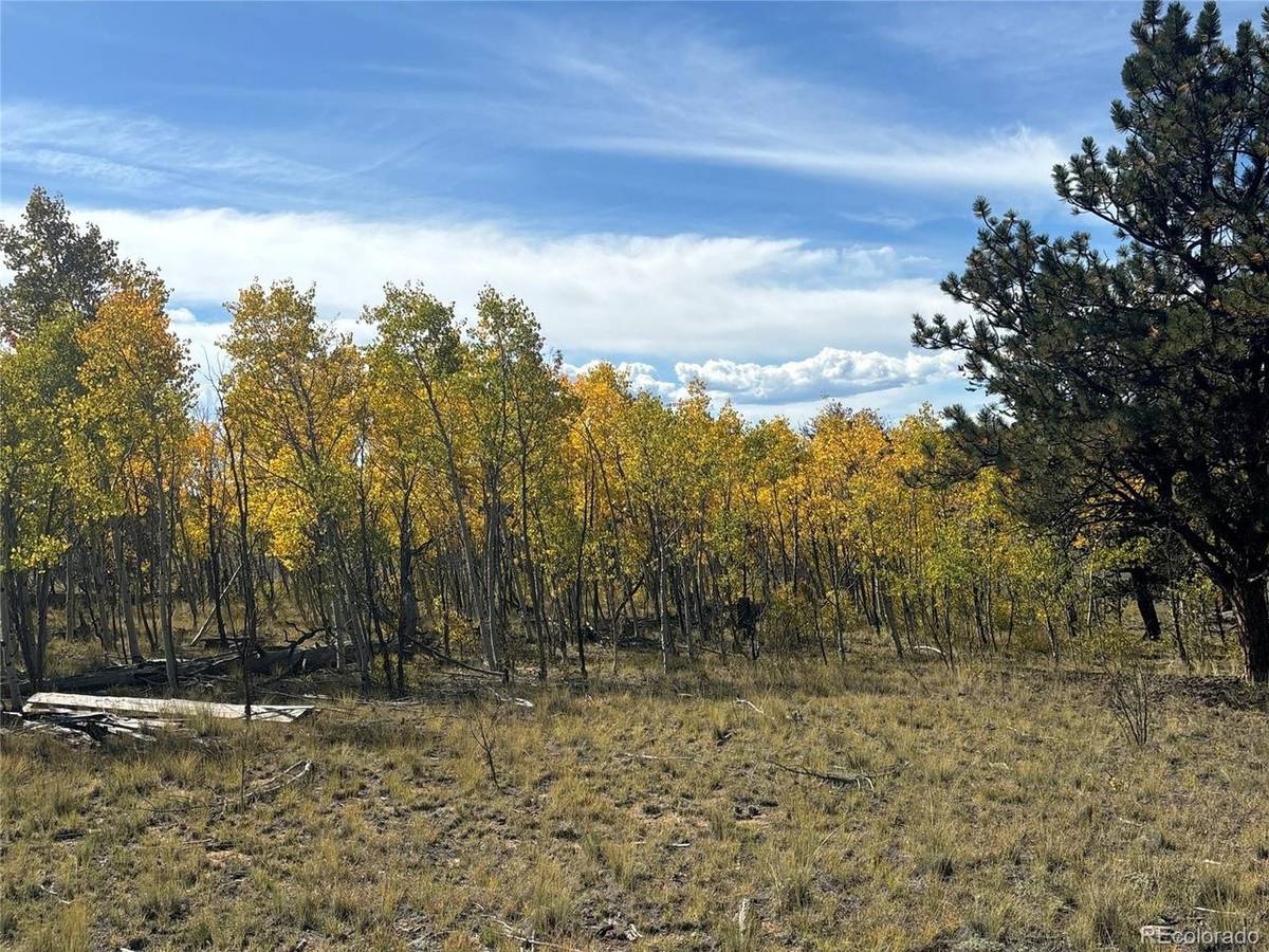 890 Mcdowell, Jefferson, CO 80456