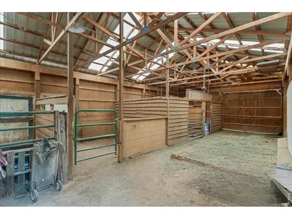 300 Colt, Loveland, CO 80537