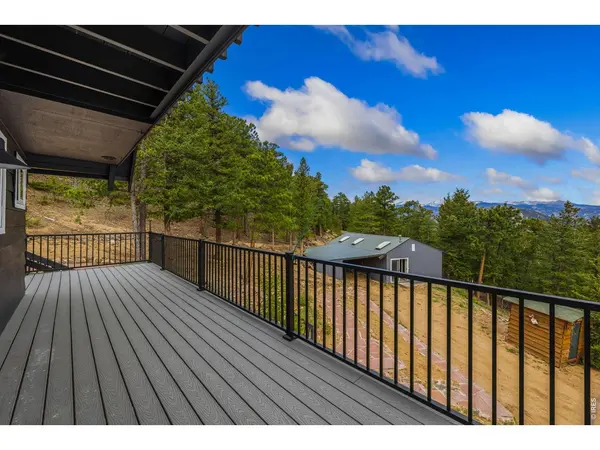 1637 Black Squirrel, Estes Park, CO 80517