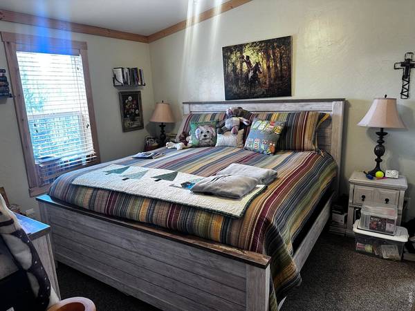 44 Natchez, Red Feather Lakes, CO 80545