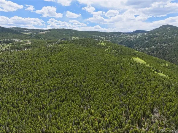 0 Sinton, Evergreen, CO 80439