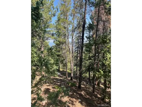 0 Raven, Idaho Springs, CO 80452
