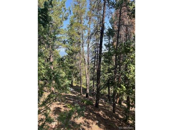 0 Raven, Idaho Springs, CO 80452