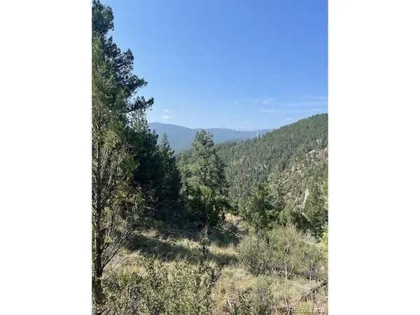 0 Raven, Idaho Springs, CO 80452