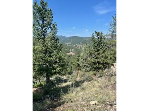 0 Raven, Idaho Springs, CO 80452