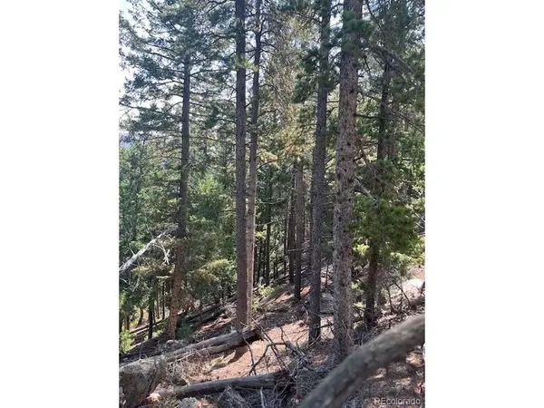 0 Raven, Idaho Springs, CO 80452