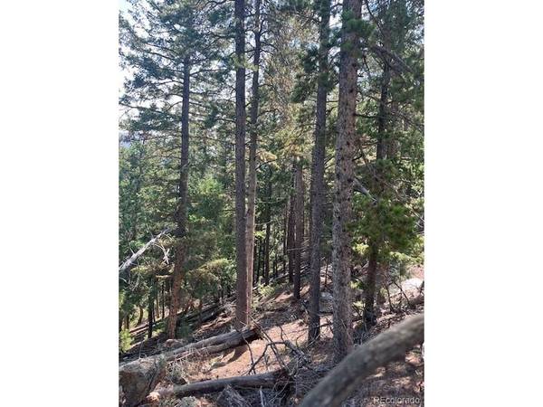 0 Raven, Idaho Springs, CO 80452