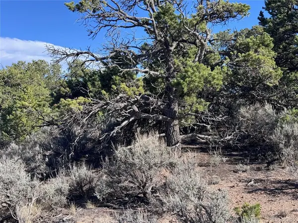 3292 Geneen, Fort Garland, CO 81133