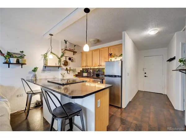 909 N Logan #3C, Denver, CO 80203