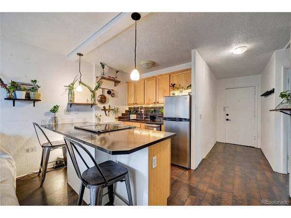 909 N Logan #3C, Denver, CO 80203