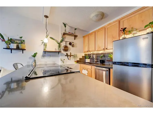 909 N Logan #3C, Denver, CO 80203