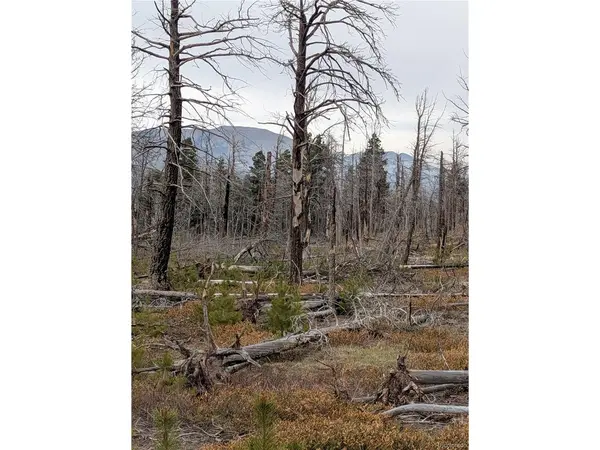 2301 Wohlstetter Loop, Fort Garland, CO 81133
