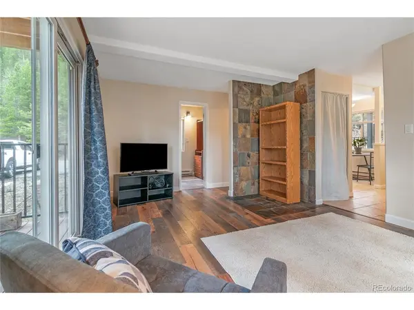 110 Now Colorado #E8, Breckenridge, CO 80424