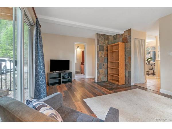 110 Now Colorado #E8, Breckenridge, CO 80424