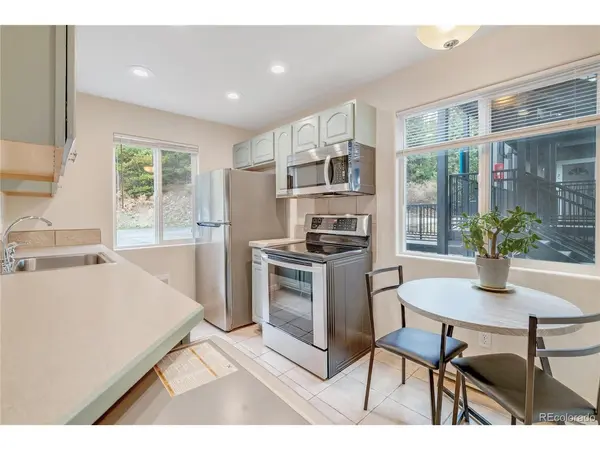 110 Now Colorado #E8, Breckenridge, CO 80424