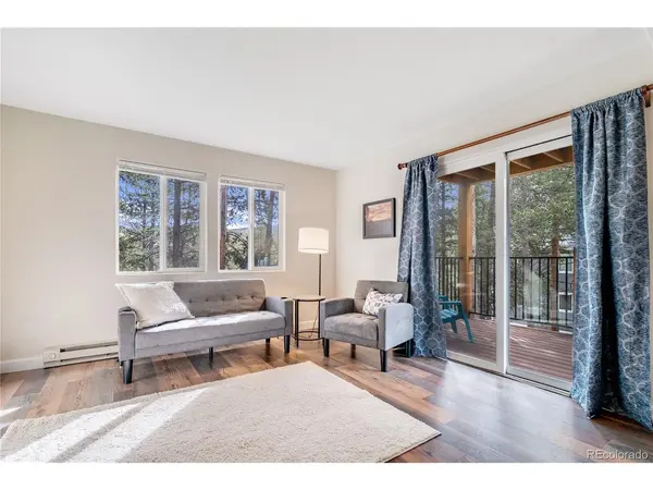 110 Now Colorado #E8, Breckenridge, CO 80424