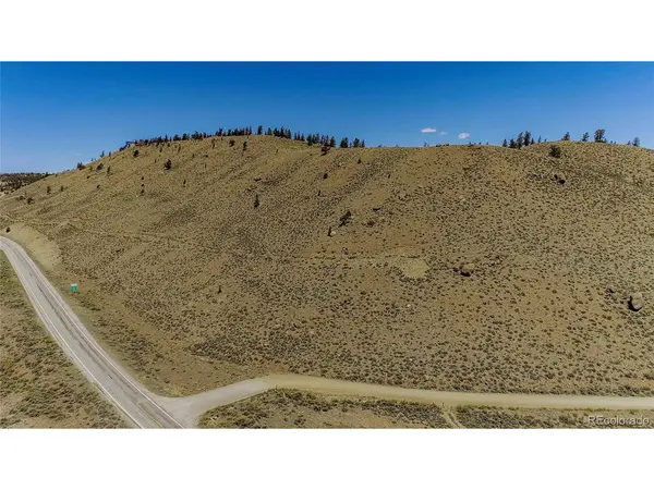 2261 Meteor Placer, Twin Lakes, CO 81251