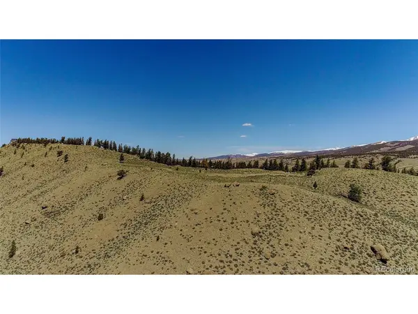 2261 Meteor Placer, Twin Lakes, CO 81251