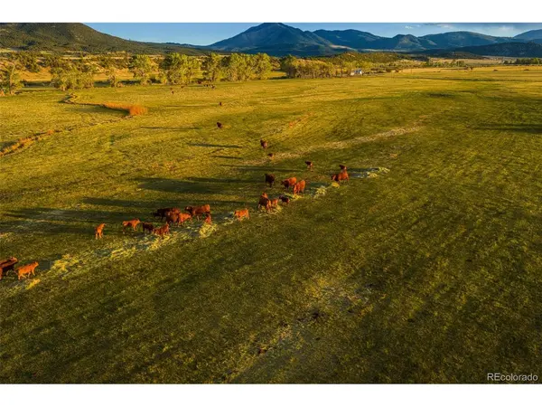 TB County Road 554, Gardner, CO 81040