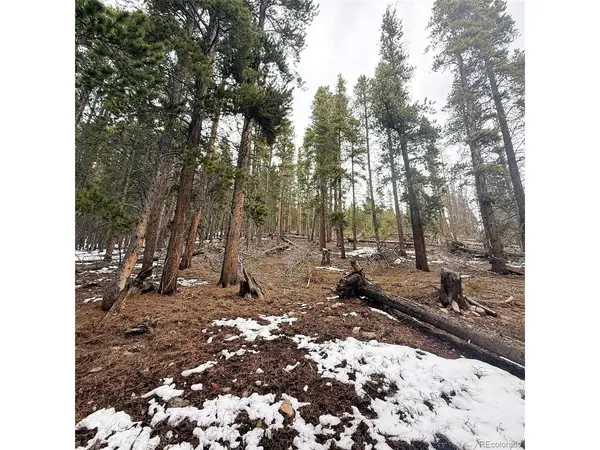 406 Glory Hole, Idaho Springs, CO 80452