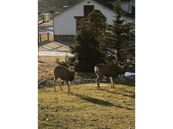 2385 Antelope Ridge, Parker, CO 80138