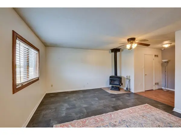 607 S Railroad, Buena Vista, CO 81211