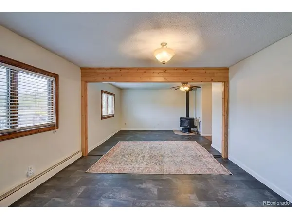 607 S Railroad, Buena Vista, CO 81211