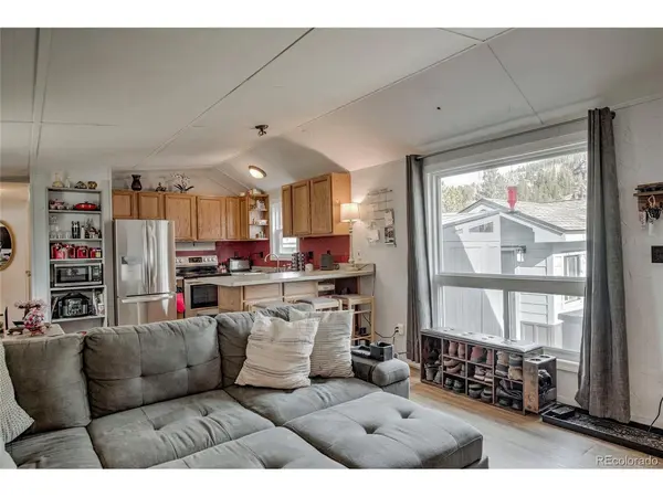 56 Magnum Bonum, Breckenridge, CO 80424
