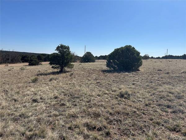 94 Navajo Ranch Resorts, Walsenburg, CO 81089