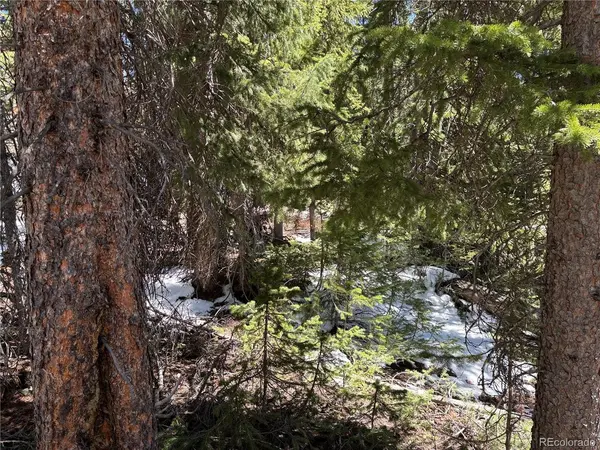 192 Kimmes, Breckenridge, CO 80424