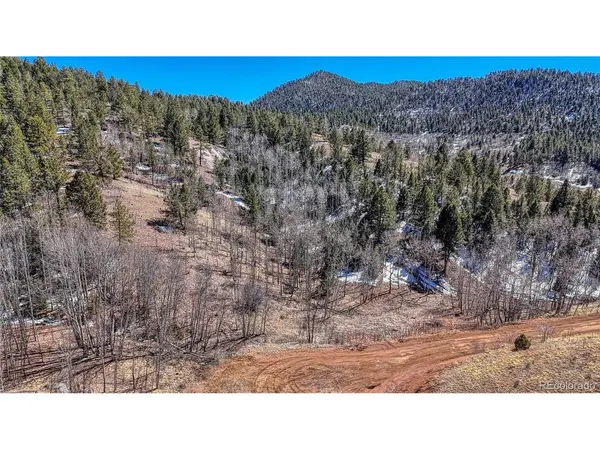 513 Last Dollar, Cripple Creek, CO 80813