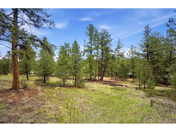 14032 S Olive, Pine, CO 80470