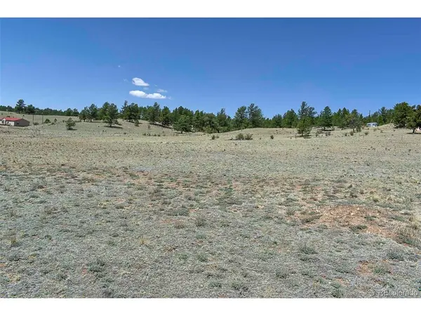 1999 Arapaho, Hartsel, CO 80449