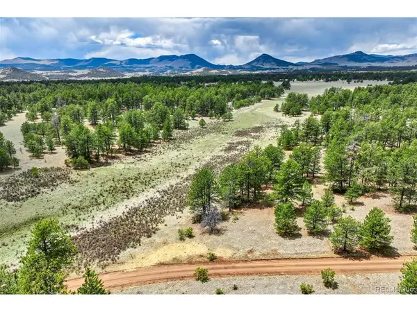 103 Doe Valley, Guffey, CO 80820