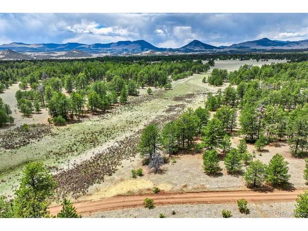 103 Doe Valley, Guffey, CO 80820