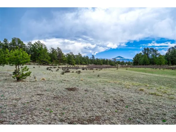 103 Doe Valley, Guffey, CO 80820