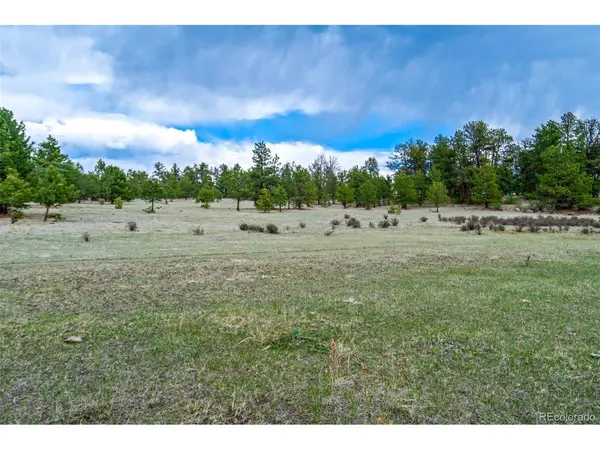 103 Doe Valley, Guffey, CO 80820