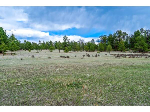 103 Doe Valley, Guffey, CO 80820