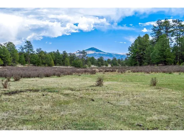 103 Doe Valley, Guffey, CO 80820