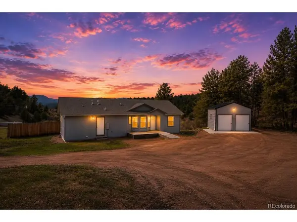 740 Crystal Peak Road, Florissant, CO 80816