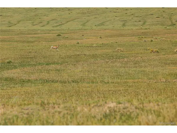 0 Wendling Trail Lot 50, Kiowa, CO 80117