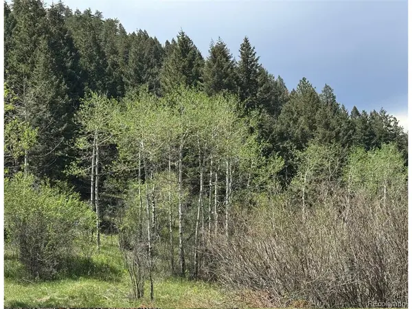 S Maxwell Hill, Littleton, CO 80127