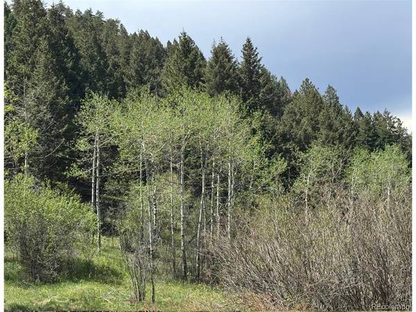 S Maxwell Hill, Littleton, CO 80127