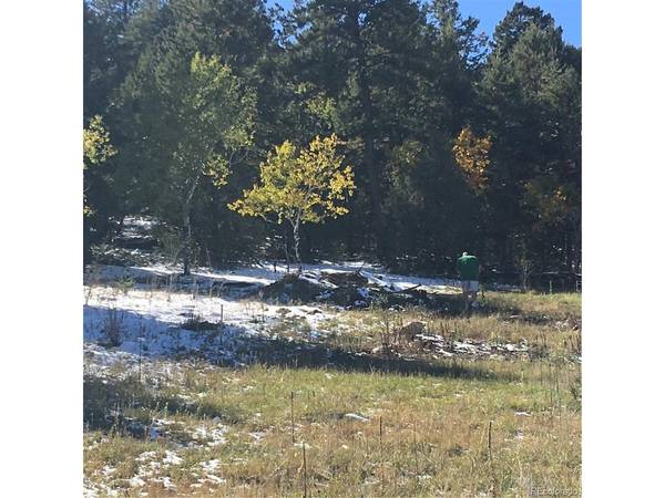 14745 Wetterhorn Peak, Pine, CO 80470