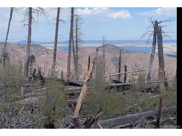 2553 Fine, Fort Garland, CO 81133