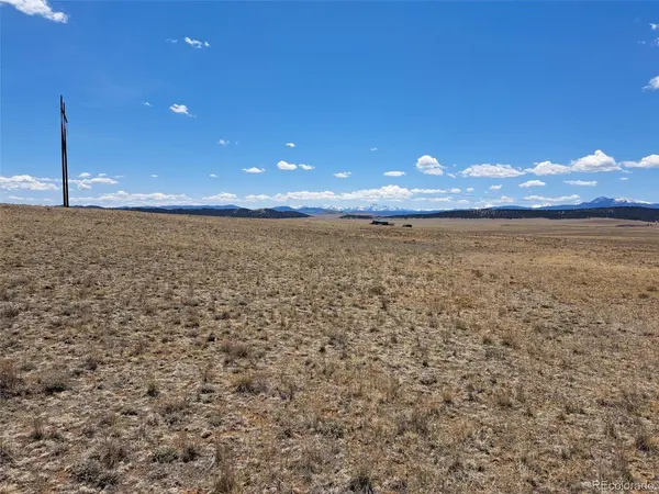 1356 Larimer, Hartsel, CO 80449