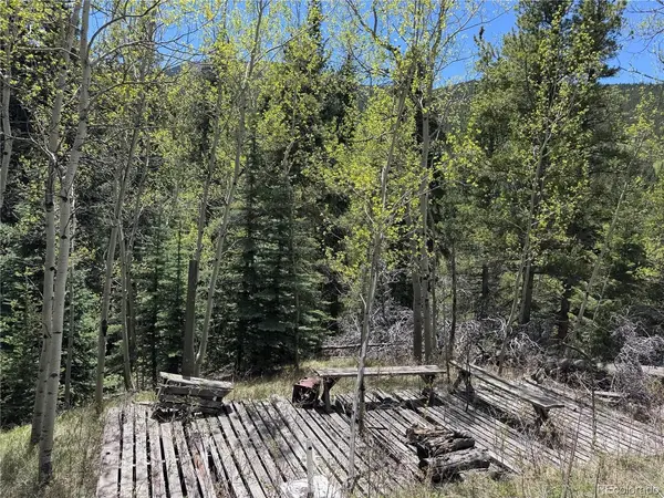 190 Blue Bell, Idaho Springs, CO 80452